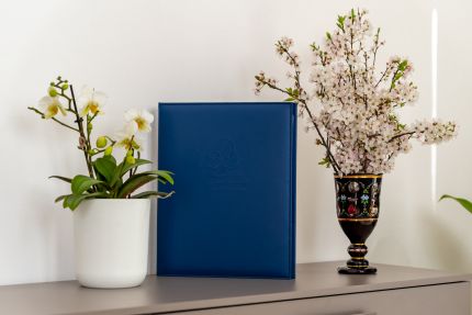 Ercole - Dadù Appartements